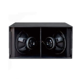 Loa sub A-audio CK218G2